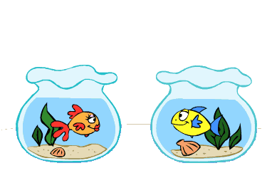 Redevet fish and love
