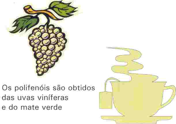 Redevet polifenois