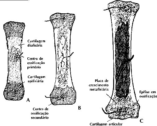 esquema