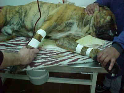 figura3