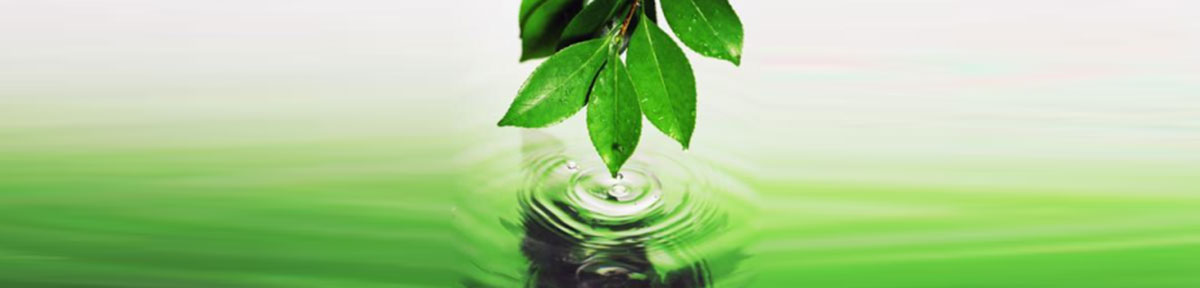 Redevet Ecologia