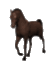 Redevet cavalo andando