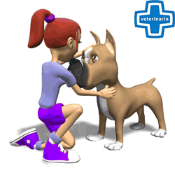 Redevet medicina veterinaria