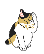 Redevet gato